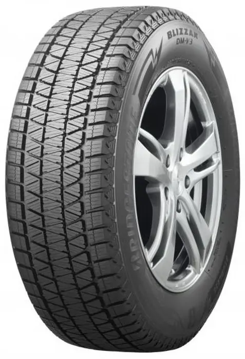 Bridgestone Blizzak DM-V3 265/55R20 113T