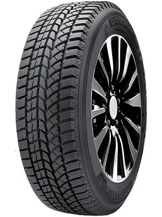 Double Star DW02 235/35R19 91T