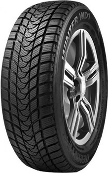 Delinte Delinte Winter WD1 185/60R14 82H
