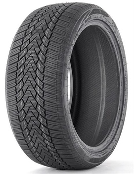 Fronway Fronway ICEMASTER I 215/65R16 98T
