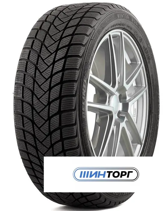 Delinte Winter WD6 155/65 R13 73T