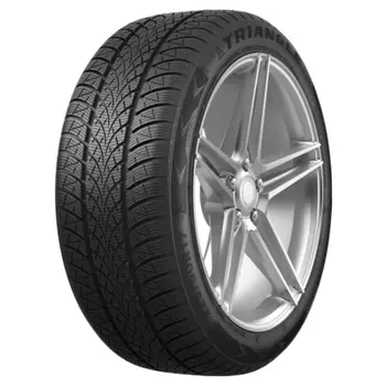 Triangle WinterX TW401 205/55 R17 95V