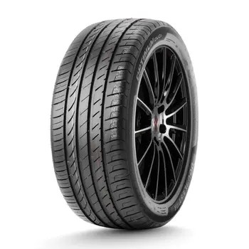 DU01 ДаблСтар  205/45/17  W 88 DU01
