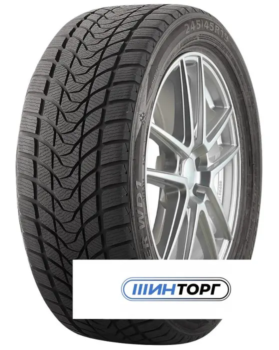 Delinte Winter WD1 245/45 R19 98S