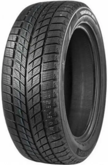Double Star DW09 275/40R20 106V